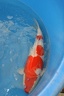 IMG 5962