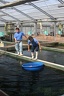 IMG 4157