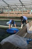 IMG 4162