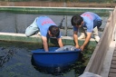 IMG 4167