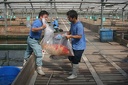 IMG 4171