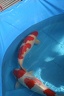IMG 4176