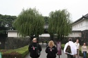 IMG 7713