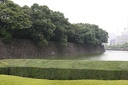 IMG 7714