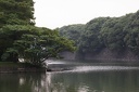 IMG 7715