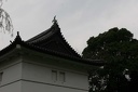 IMG 7716