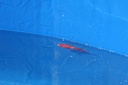 IMG 7238