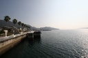 IMG 7453
