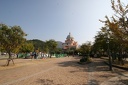 IMG 7478