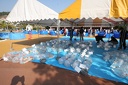 IMG 7487