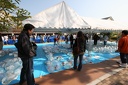 IMG 7489