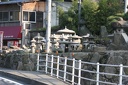 IMG 7694
