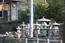IMG 7695