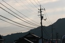 IMG 3952