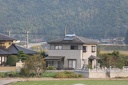 IMG 3956