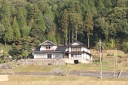 IMG 3960