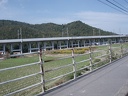 PA220037