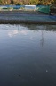 IMG 0372