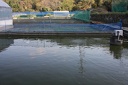 IMG 0373