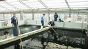 IMG 0182