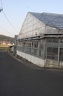 IMG 0932