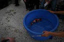 IMG 0227