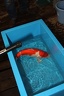 IMG 0018