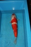 IMG 9997