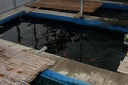 IMG 0959
