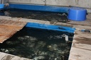 IMG 0964