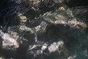 IMG 0967