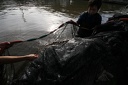IMG 7390