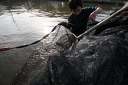 IMG 7391