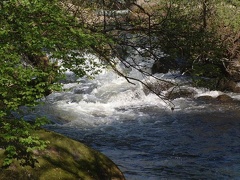 DSCF0017