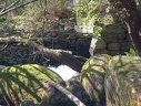 DSCF0025