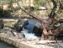 DSCF0049