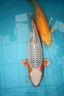 IMG 0692