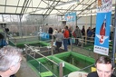 IMG 0702