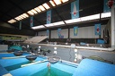 IMG 0705