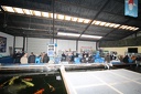 IMG 0708