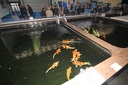 IMG 0709