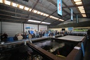 IMG 0712