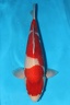 IMG 0123