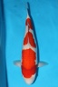 IMG 0125