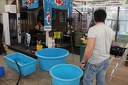 IMG 0205