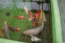 IMG 0207