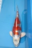 IMG 5479