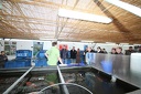 IMG 0452