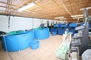 IMG 0464