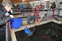 IMG 0471